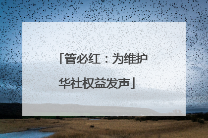 管必红：为维护华社权益发声