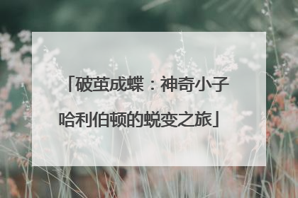 破茧成蝶：神奇小子哈利伯顿的蜕变之旅