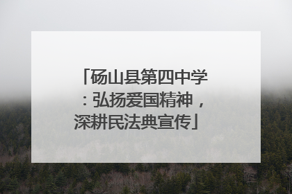 砀山县第四中学：弘扬爱国精神，深耕民法典宣传