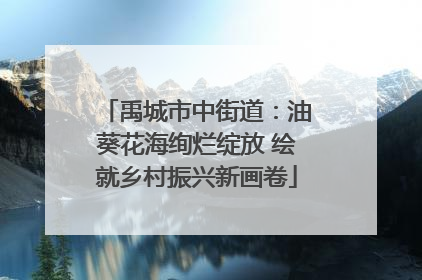 禹城市中街道：油葵花海绚烂绽放 绘就乡村振兴新画卷