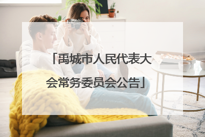 禹城市人民代表大会常务委员会公告