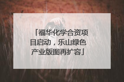 福华化学合资项目启动，乐山绿色产业版图再扩容