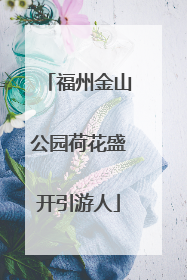 福州金山公园荷花盛开引游人
