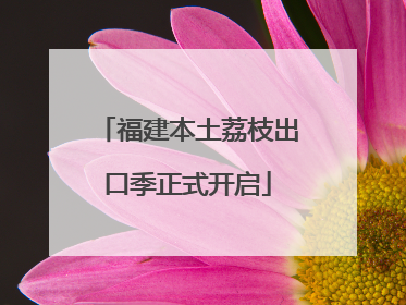 福建本土荔枝出口季正式开启