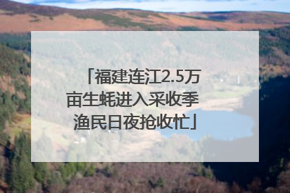 福建连江2.5万亩生蚝进入采收季 渔民日夜抢收忙