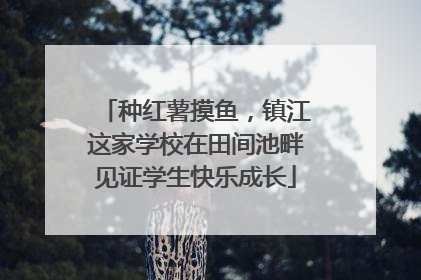 种红薯摸鱼，镇江这家学校在田间池畔见证学生快乐成长