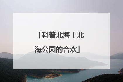 科普北海丨北海公园的合欢