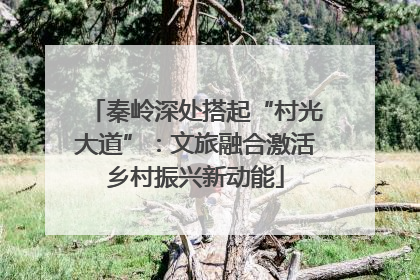秦岭深处搭起“村光大道”：文旅融合激活乡村振兴新动能