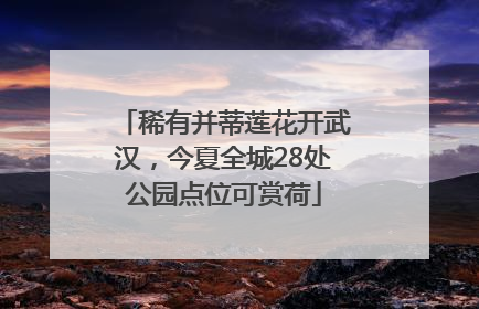稀有并蒂莲花开武汉，今夏全城28处公园点位可赏荷