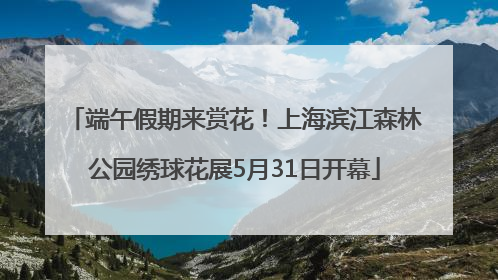 端午假期来赏花！上海滨江森林公园绣球花展5月31日开幕