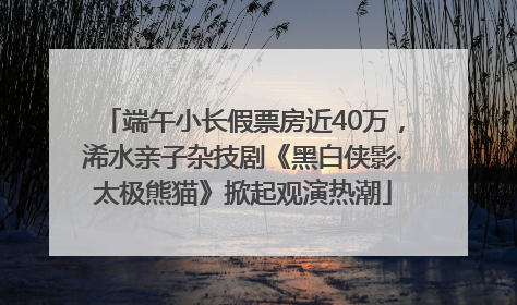 端午小长假票房近40万，浠水亲子杂技剧《黑白侠影·太极熊猫》掀起观演热潮