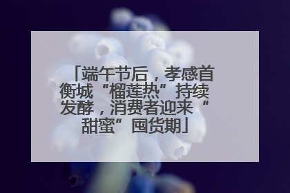 端午节后，孝感首衡城“榴莲热”持续发酵，消费者迎来“甜蜜”囤货期