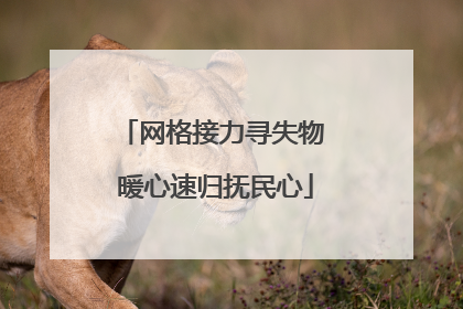 网格接力寻失物 暖心速归抚民心