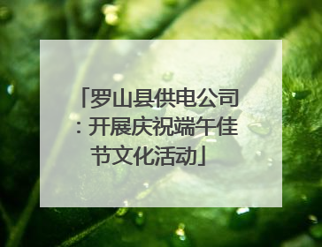 罗山县供电公司：开展庆祝端午佳节文化活动