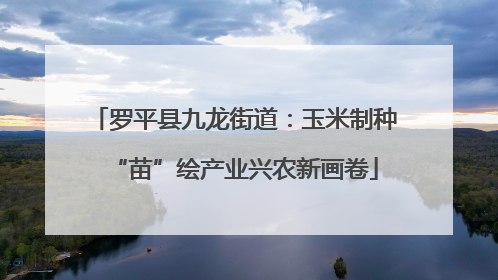 罗平县九龙街道：玉米制种“苗”绘产业兴农新画卷