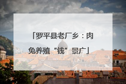 罗平县老厂乡：肉兔养殖“钱”景广