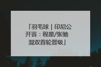 羽毛球｜印尼公开赛：程星/张驰混双首轮晋级