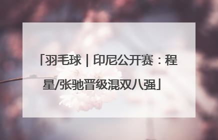羽毛球｜印尼公开赛：程星/张驰晋级混双八强