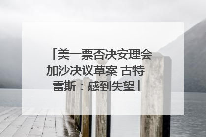 美一票否决安理会加沙决议草案 古特雷斯：感到失望