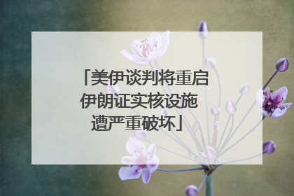 美伊谈判将重启 伊朗证实核设施遭严重破坏