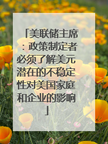 美联储主席：政策制定者必须了解美元潜在的不稳定性对美国家庭和企业的影响