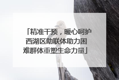 精准干预，暖心呵护 西湖区助联体助力困难群体重塑生命力量