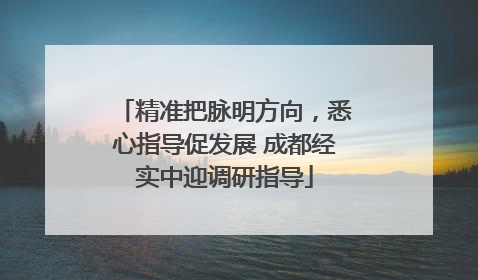 精准把脉明方向，悉心指导促发展 成都经实中迎调研指导