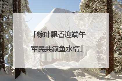粽叶飘香迎端午 军民共叙鱼水情