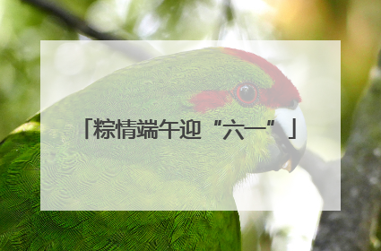 粽情端午迎“六一”