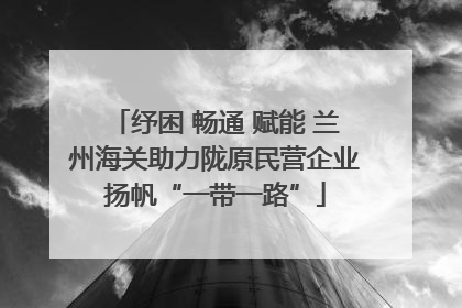 纾困 畅通 赋能 兰州海关助力陇原民营企业扬帆“一带一路”