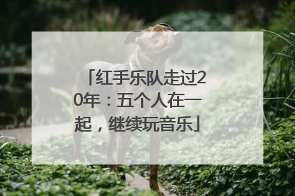 红手乐队走过20年：五个人在一起，继续玩音乐