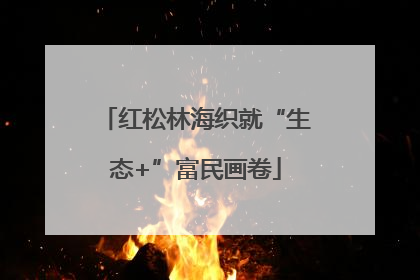 红松林海织就“生态+”富民画卷