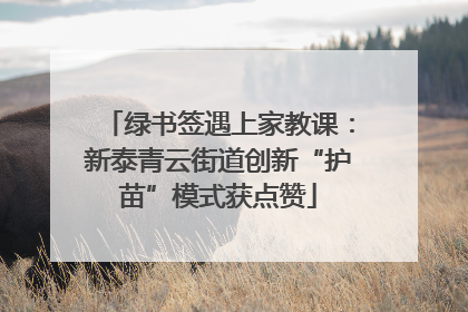 绿书签遇上家教课：新泰青云街道创新“护苗”模式获点赞
