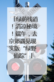 绿荫栈道！清凉秘境！端午，去京郊遇见现实版“绿野仙踪”