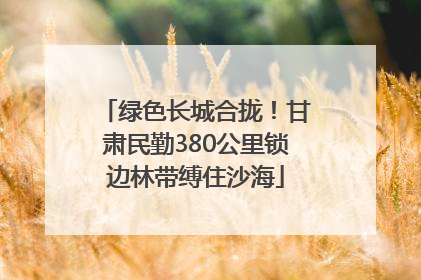 绿色长城合拢！甘肃民勤380公里锁边林带缚住沙海
