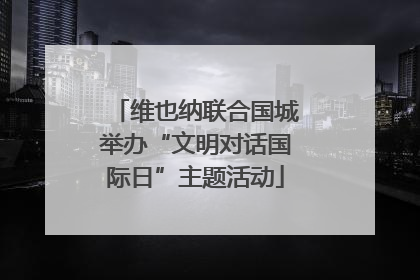 维也纳联合国城举办“文明对话国际日”主题活动