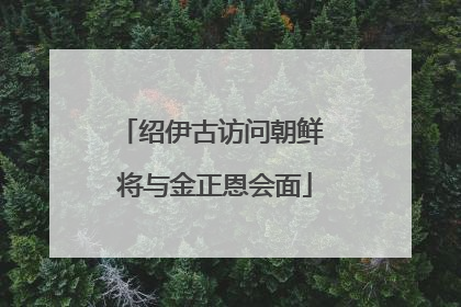 绍伊古访问朝鲜 将与金正恩会面
