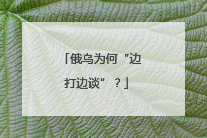 俄乌为何“边打边谈”？