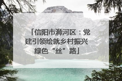信阳市浉河区：党建引领绘就乡村振兴绿色“丝”路