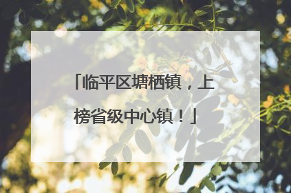 临平区塘栖镇，上榜省级中心镇！