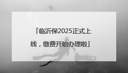 临沂保2025正式上线，缴费开始办理啦