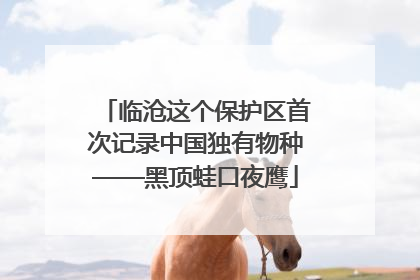 临沧这个保护区首次记录中国独有物种——黑顶蛙口夜鹰