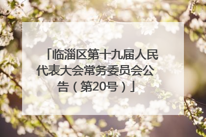 临淄区第十九届人民代表大会常务委员会公告（第20号）