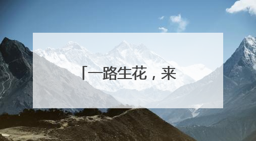 一路生花，来新洲体验武汉版普罗旺斯