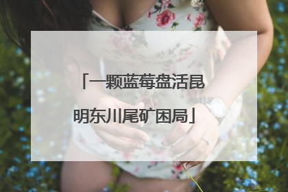 一颗蓝莓盘活昆明东川尾矿困局