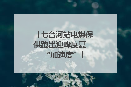 七台河站电煤保供跑出迎峰度夏 “加速度”