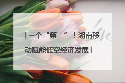 三个“第一”！湖南移动赋能低空经济发展