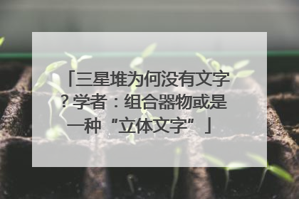 三星堆为何没有文字？学者：组合器物或是一种“立体文字”