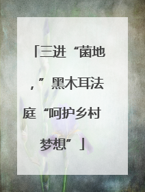 三进“菌地，”黑木耳法庭“呵护乡村梦想”