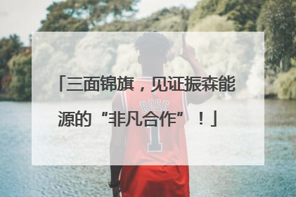 三面锦旗，见证振森能源的“非凡合作”！